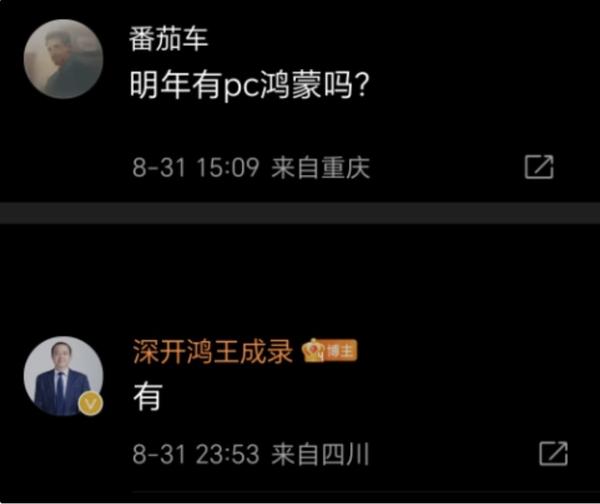 Former Huawei executive Wang Chengluo confirmed: next year will launch Hongmeng PC version of the system