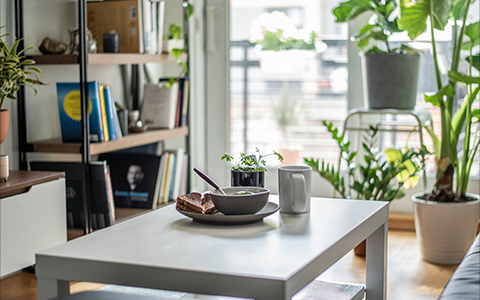 IKEA Partners with ChatGPT to Launch Official Smart Body to Provide Personalized Home Improvement Advice